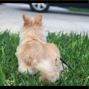 Meet your Posher, Danielle